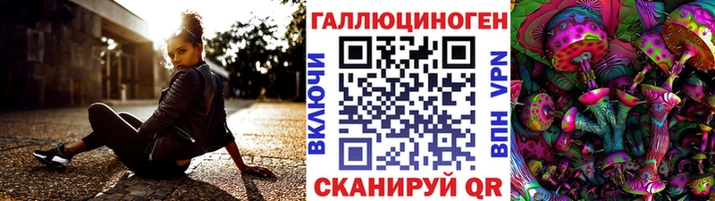 Купить где  Мирный  Псилоцибиновые грибы Psilocybine cubensis 